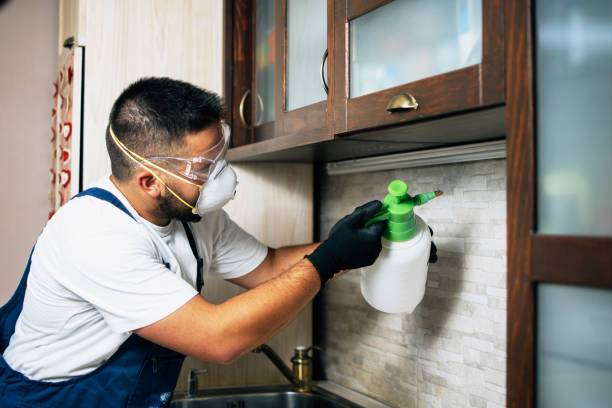 Best Cockroach Control Services  in Kutztown, PA