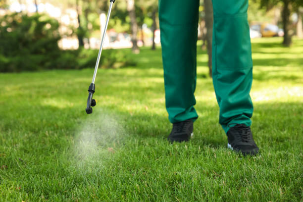 Trusted Kutztown, PA Pest Control Experts