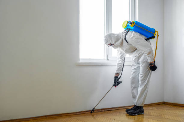 Wildlife Control Services in Kutztown, PA