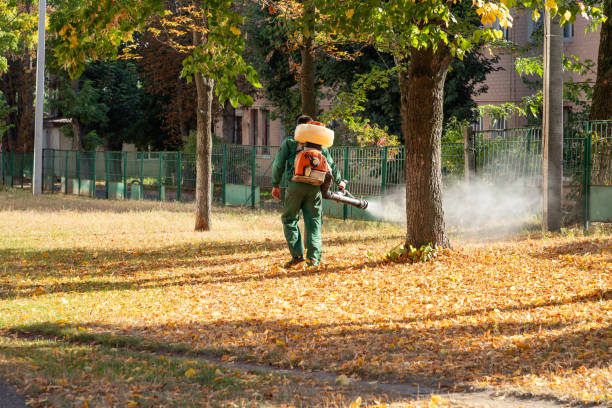 Best Wasp Removal Services  in Kutztown, PA