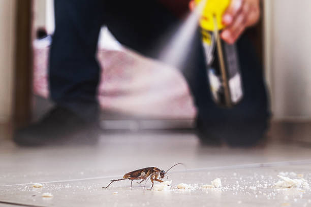 Best Pest Control Near Me in Kutztown, PA
