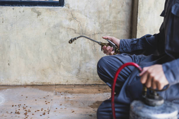 Best Residential Pest Control  in Kutztown, PA